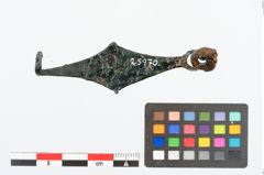 Foto von Bronzefibel (NHMW-PRAE-025970)